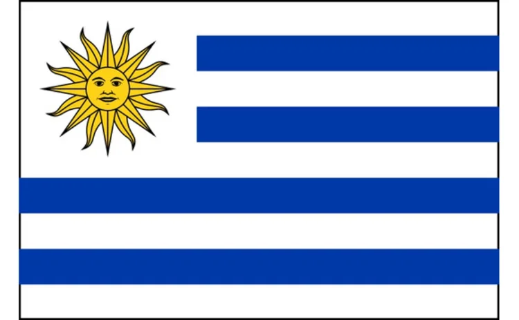 800px-flag-of-uruguay-bordered