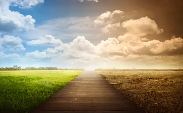 The calm before the storm – The climate change 2019 survey
