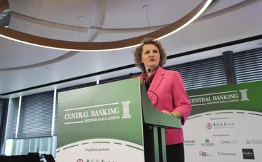 Jasmina Selimović, CBBH