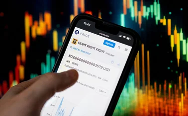 Trump meme coin status shown on a mobile phone