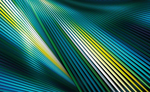 Green blue and yellow lines in an abstract pattern