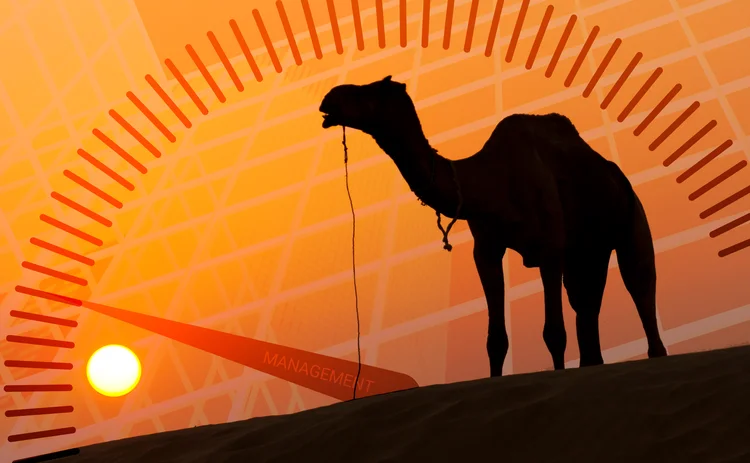 Camel against a regulation metric background