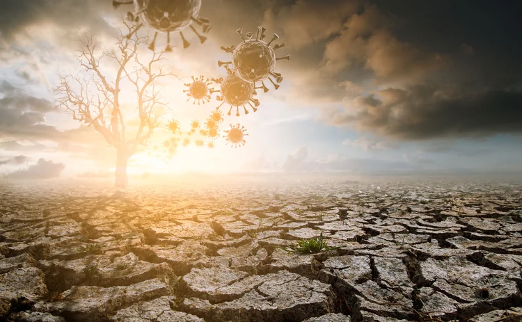 Climate change and covid