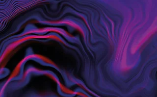 Risk Management 2025 report title image.jpg 