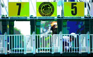 Race horse and jockey stuck behind starting gate labelled with the US Fed logo