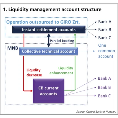 1. Liquidity management account structure