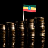 Ethiopian flag