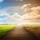 The calm before the storm – The climate change 2019 survey
