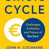 Crisis cycle: challenges, by John H. Cochrane, Luis Garicano and Klaus Masuch