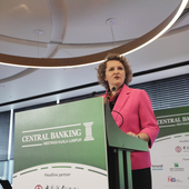 Jasmina Selimović, CBBH