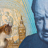 A squirrel is seen scratching its head with a backdrop of a 5 pound note