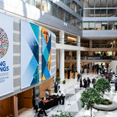IMF Spring Meetings