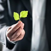 green business
